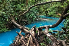 166e6438-0938-4f79-8dca-13901eea21eb_1_105_c