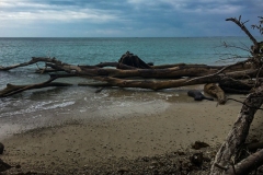 ba2b2737-065b-4d8e-8da6-8adb3089f9ff_1_105_c