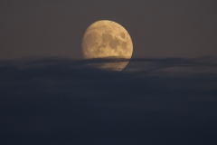 cb2e2cf6-0288-4bca-954b-68ac9f4c9573_1_201_a