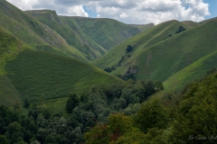 DSC07266