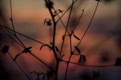 1_1177827c-8022-43d1-a399-2b403c2f75d8_1_201_a