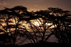 1_218bdc24-8d4d-471e-a55d-5dc68ccc0414_1_201_a