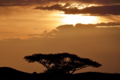 1_68e2bfe5-033e-48f3-bc7e-4bd345dd8112_1_201_a