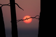 1_9a66bb69-c6e7-4ce9-9ec9-ea1ead499bb5_1_201_a