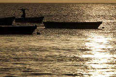 1_e4699ec0-3a01-4cac-893a-d3eff381b7ef_1_201_a