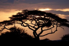 1_f1db30b8-5e47-4d94-9ada-047bb79989dc_1_201_a