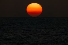 1_p1368697