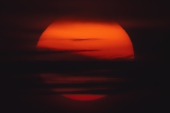 1_p1402130