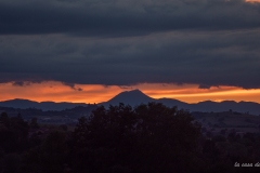 1_p1492950