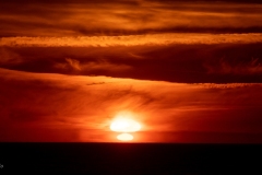 L'Aubraie aux Sables d'Olonne