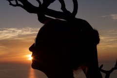 aa2a6f48-7f8f-4a84-9983-266a0bc63618_1_201_a