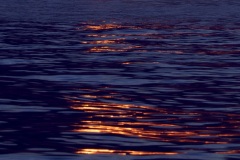 acf8d3aa-38e3-4bf0-8623-fba408d98a79_1_201_a