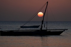 b8a2898e-9f6a-45ee-85cf-3f9526dbfc76_1_201_a