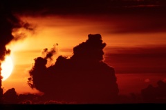 f8279e1a-46de-423a-bcb9-8105b309fff3_1_201_a