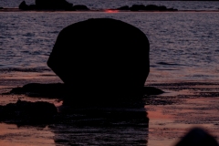 p1000686