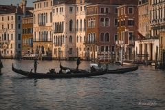 p1217951