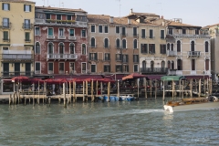 p1217957
