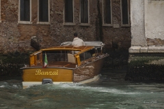 p1218909