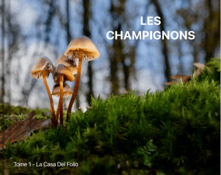 capture d’écran 2025 09 30 à 11.07.58