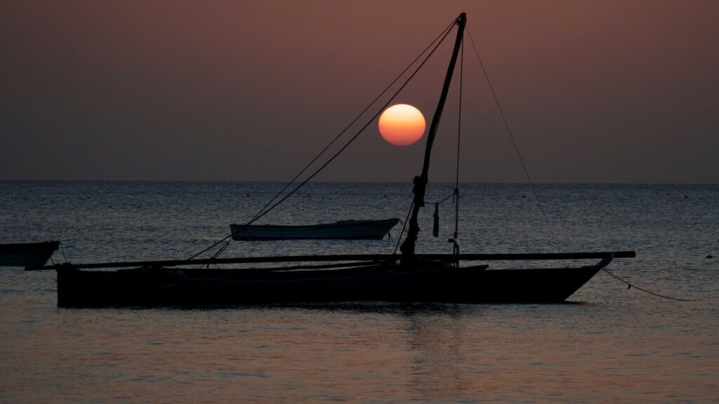 b8a2898e 9f6a 45ee 85cf 3f9526dbfc76 1 201 a