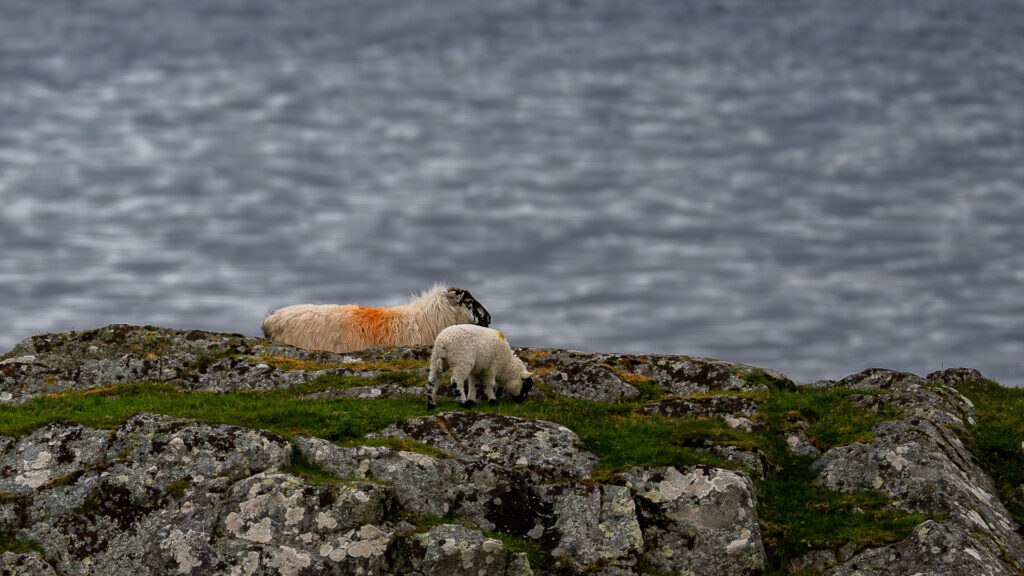 Photothèque Irlande