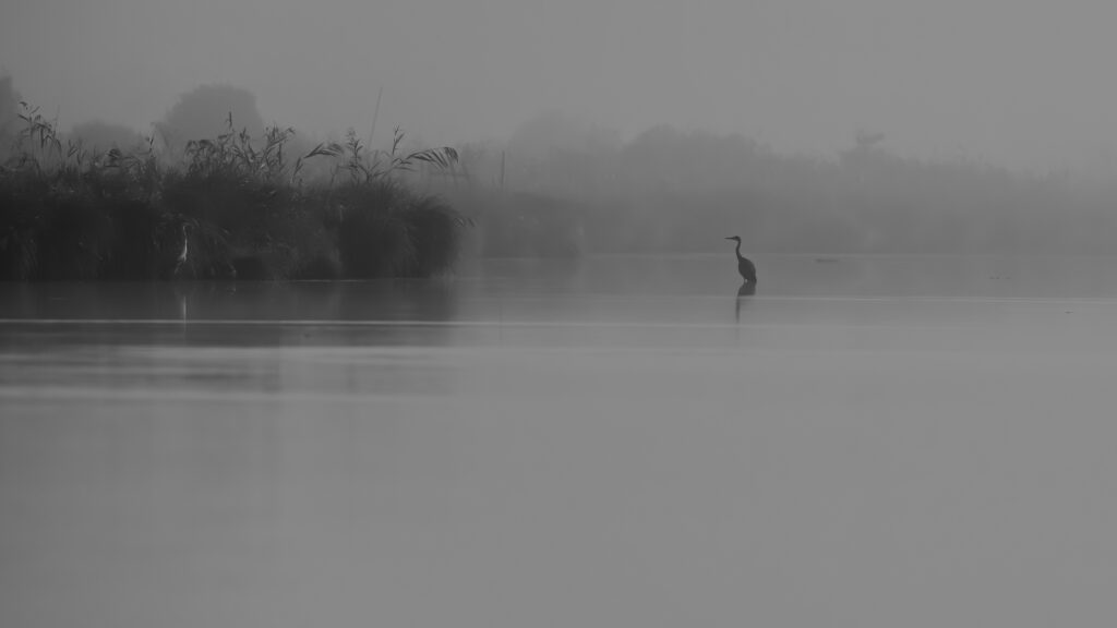 Paysages • Forêts • Lumières • Nature sauvage
